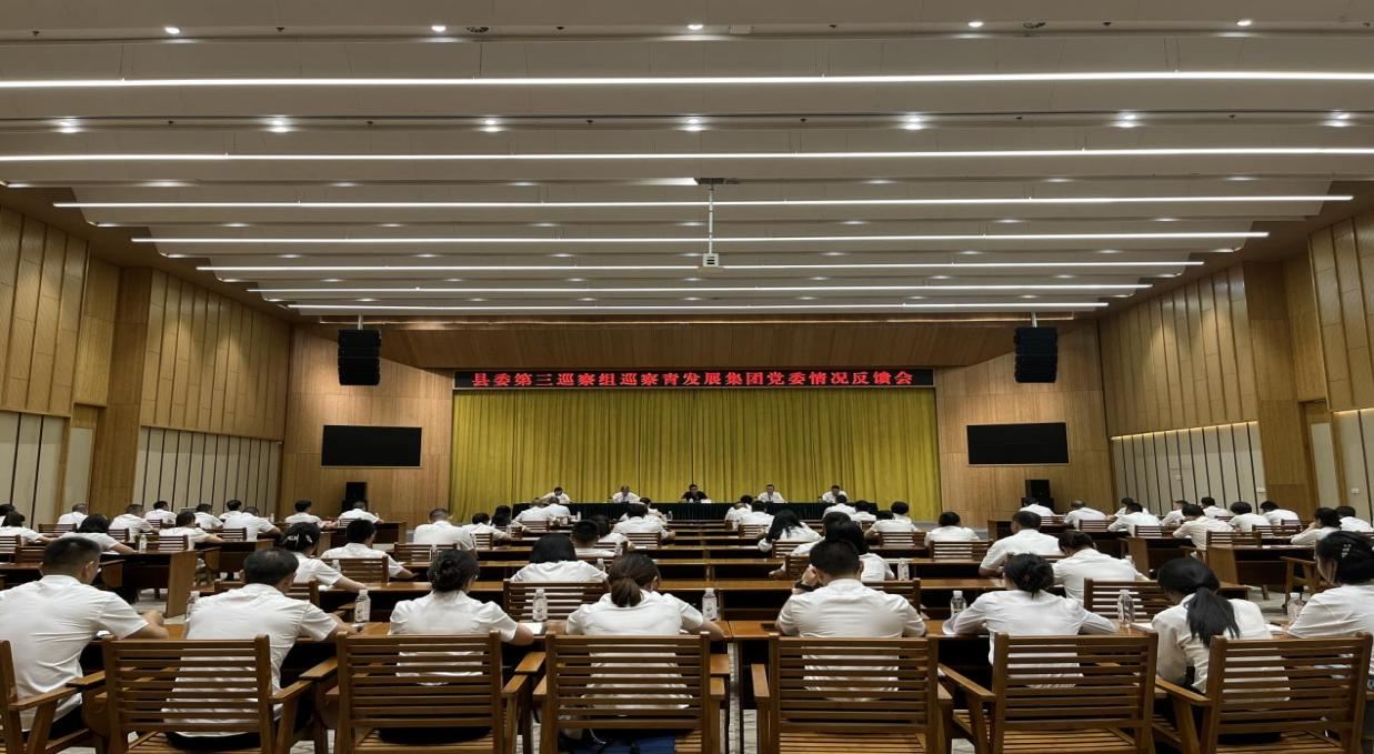 縣委第三巡察組向青發展集團黨委反饋巡察情況